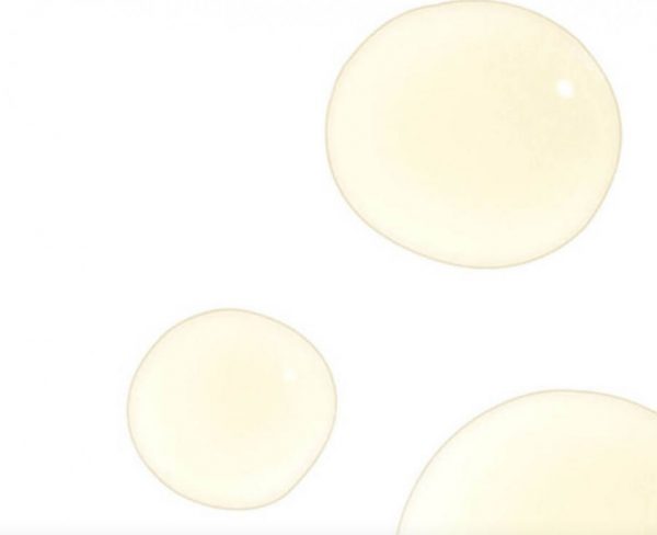 Silymarin CF - 30ml - Image 3